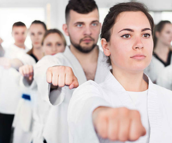 Classical Martial Arts of Long Island Tiger Corps / Dragon Corps Students