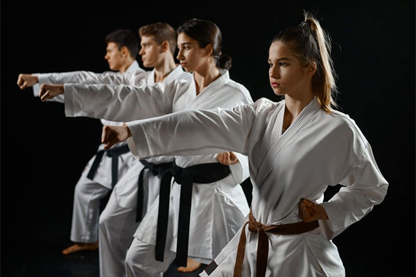 Classical Martial Arts of Long Island Budo