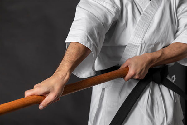 Classical Martial Arts of Long Island Iaido / Kobudo